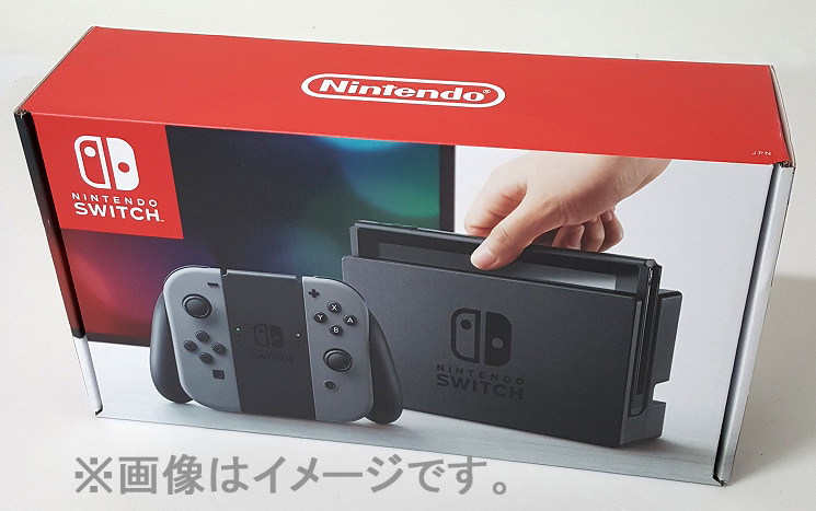 Nintendo Switch Joy-Con (L) (R) グレー  ニンテンドースイッチ本体 任天堂［45］