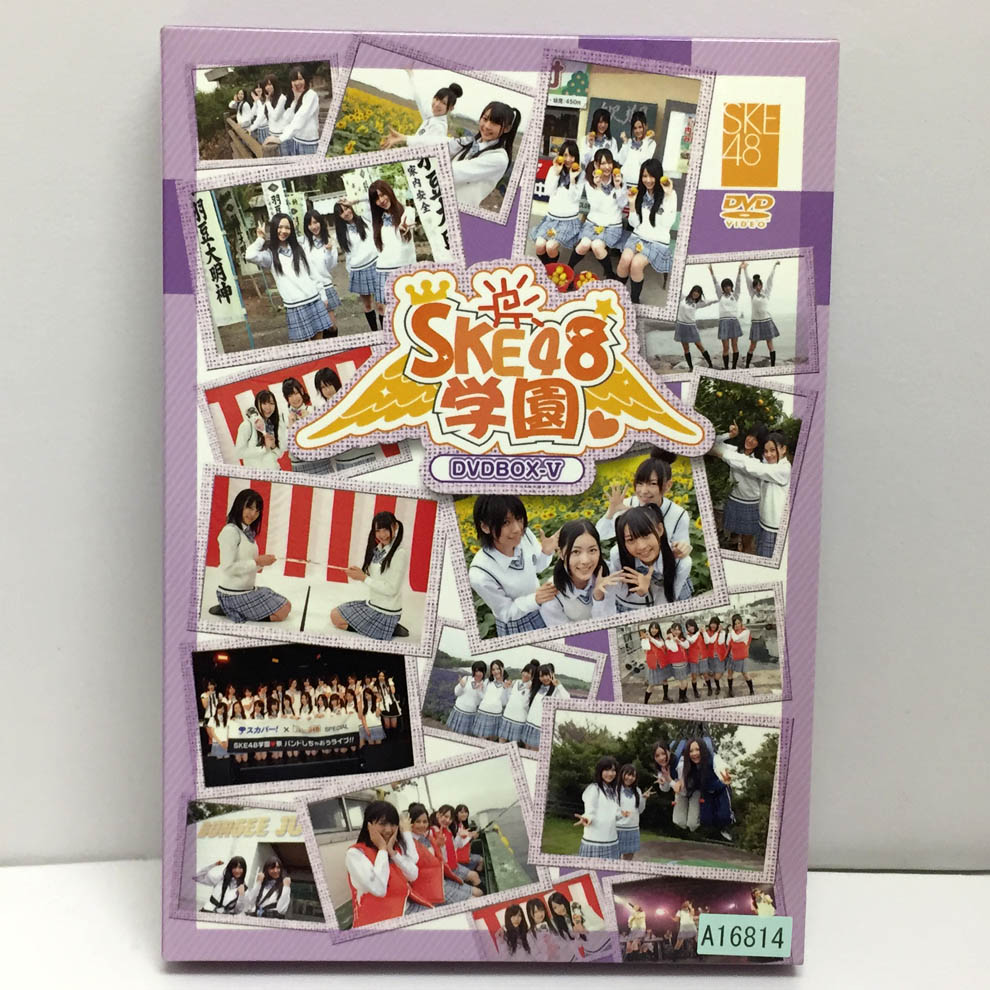 【中古】SKE48学園 DVD-BOX V/SKE48チームS 【福山店】