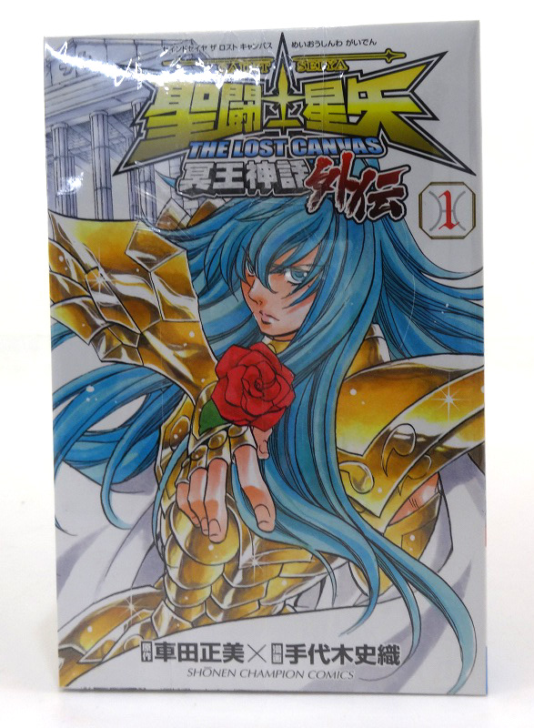 開放倉庫 中古 聖闘士星矢 The Lost Canvas 冥王神話外伝 1 16巻セット 全巻セット 秋田書店 手代木史織 車田正美 少年漫画 3 福山店 古本 少年コミック