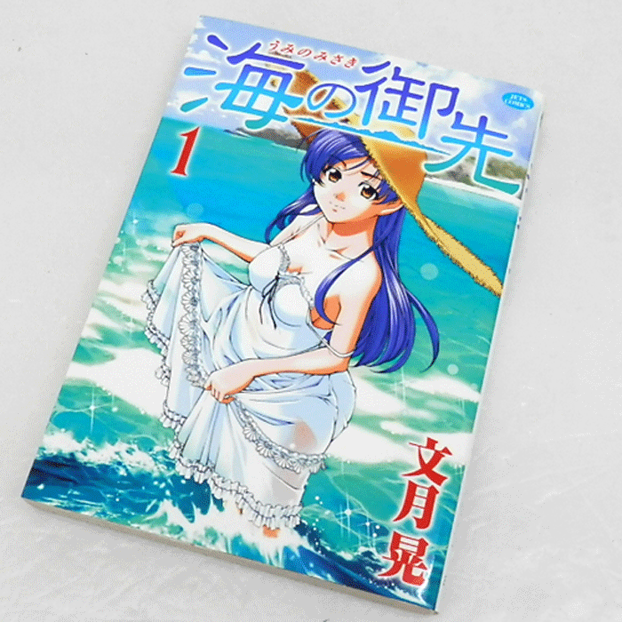 開放倉庫 中古 古本 海の御先 全15巻セット 完結 文月晃 白泉社 山城店 古本 少年コミック